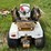 international-cub-image-2