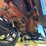 leon-707-image-57
