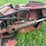 #1192-•-bypass-grapple-image-9