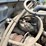 #1361-•-1995-freightliner-fuel-truck-image-31