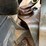 2016-case-1650m-image-22