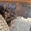#60835-•-1991-volvo-/-gm-white-tandem-axle-storm-truck-image-38