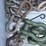 #217-•-industrial-clevis-shackles-image-4