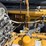 2017-caterpillar-336fl-image-58