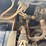 1999-volvo-wg64-image-49