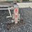 #5044-•-hydro-mobile-hm2-mast-climbing-work-platform-scaffold-image-15