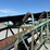 #1752-•-50'-conveyor-image-11