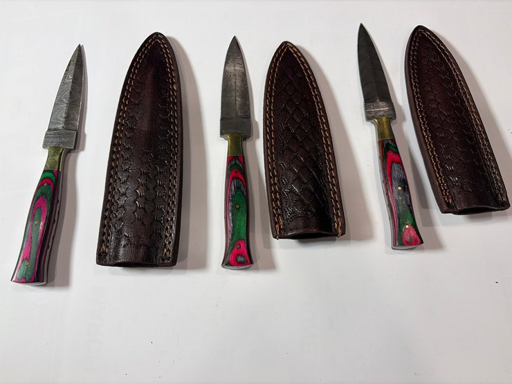 #5909-•-(10)-unused-knives-image-4