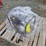 #6169-•-unused-paladin-industrial-pld-twp80-semi-trash-water-pump-image-4