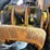 deere-1110e-image-66