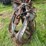 #1197-•-bypass-grapple-image-3