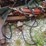 pickup-bale-spike,-electric-over-hyd-image-1