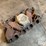 1972-ford-429-police-interceptor-intake-manifold-image-12