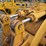 1986-caterpillar-980c-image-18