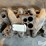 1972-ford-429-police-interceptor-intake-manifold-image-10