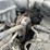 2012-ford-f250-image-28