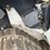 2021-bobcat-t62-image-14