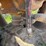 #1799-•-allis-chalmers-hydro-cone-600-crusher-image-13