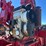 #5077-•-knuckle-boom-crane-image-9