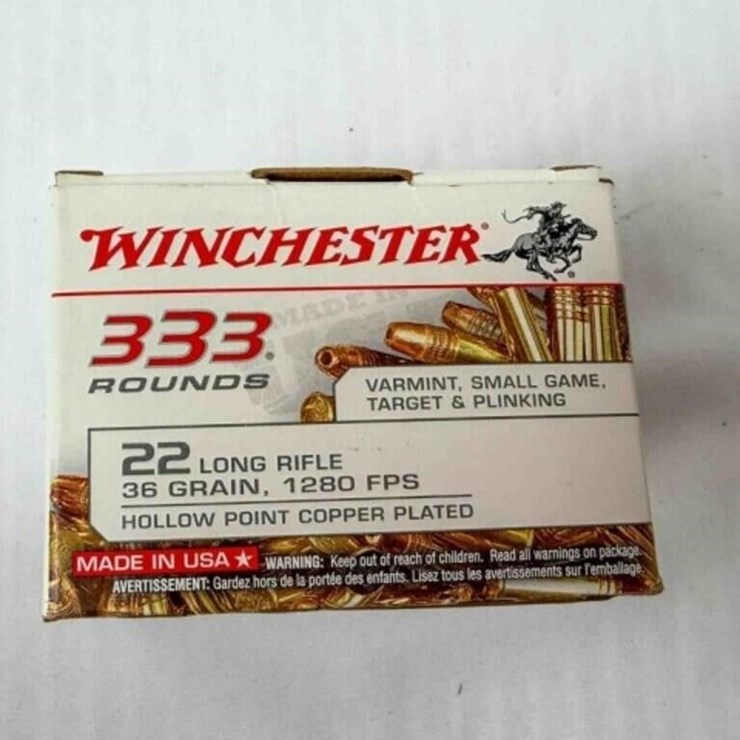 Winchester .22 ammo