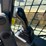 caterpillar-299d3-xe-image-38