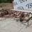 #5034-•-vibra-shank-field-cultivator-image-3
