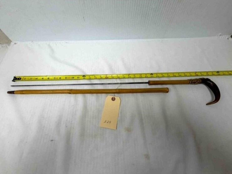 cane/sword-image-1