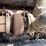 1995-cummins-m11-image-23