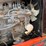2016-palfinger-gt55-image-120