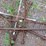 4-4-ways,-pry-bar-image-1