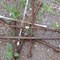 7/13-equipment-auction-enid-ok-image-3