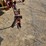 new-holland-492-image-9