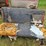 ford-f100-image-8