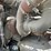 mack-dm688s-image-52
