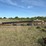 #1321-•-32"x70'-land-conveyer-image-6