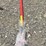 #216-•-dual-link-tree-trimmer-image-1