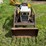 international-cub-image-5