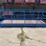 man-basket-image-2