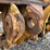 #4005-•-loader-grapple-forks-image-11