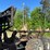 2014-timberpro-tf830-image-33