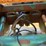 #3096-•-2003-clement-48'-roll-off-semi-trailer-image-64