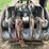 #1193-•-bypass-grapple-image-6