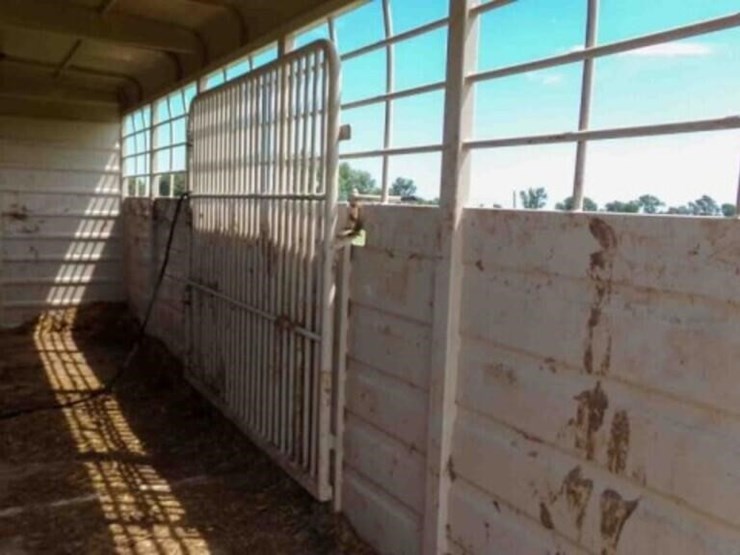 2019-swift-built-stock/horse-trailer-image-10