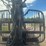 deere-1110d-image-51