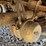 #3095-•-1996-dorsey-trailer-53'-dry-van-image-18