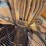 #1799-•-allis-chalmers-hydro-cone-600-crusher-image-54