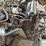2007-mitsubishi-fe140-fuso-f/b-image-19