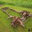 ford-f100-image-3