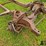 ford-f100-image-12