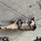 ford-heh-bt-4-speed-top-loader-transmission-image-8